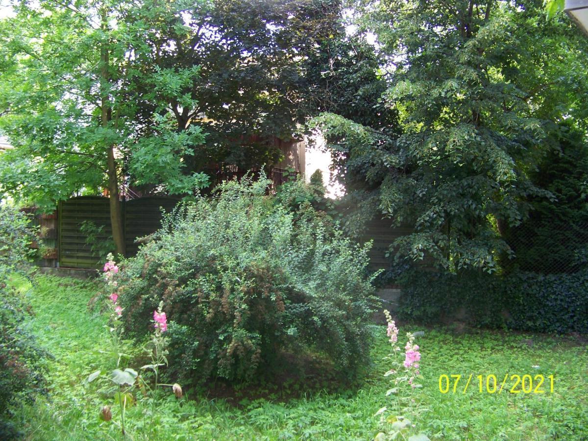 Zielony Apartament, Kielce, Targi, Centrum Exterior photo